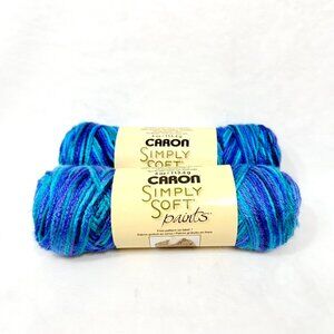 Caron Simply Soft Paints "Oceana" Acrylic Yarn - Lot of 2 Skeins